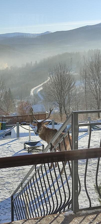 Domki Na Skale Z Widokiem Na Panorame Karkonoszy Schreiberhau Exterior foto