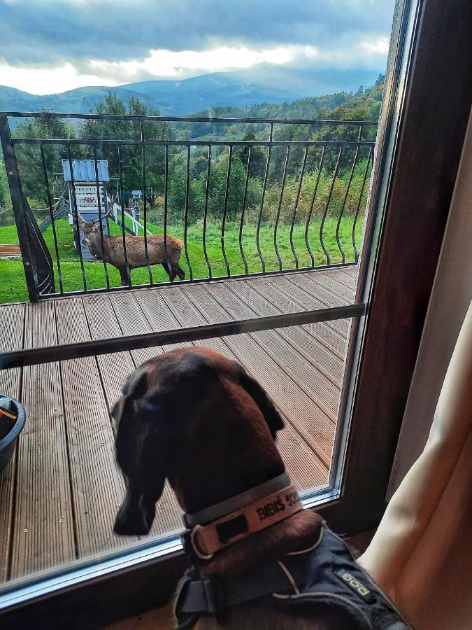 Domki Na Skale Z Widokiem Na Panorame Karkonoszy Schreiberhau Exterior foto