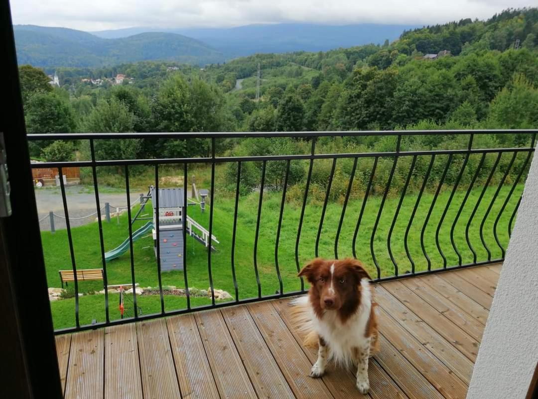 Domki Na Skale Z Widokiem Na Panorame Karkonoszy Schreiberhau Exterior foto