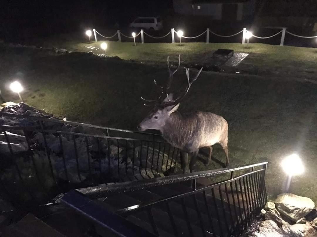 Domki Na Skale Z Widokiem Na Panorame Karkonoszy Schreiberhau Exterior foto