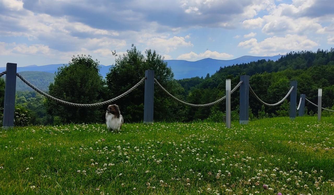 Domki Na Skale Z Widokiem Na Panorame Karkonoszy Schreiberhau Exterior foto